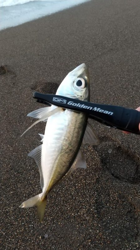 サーフアジング