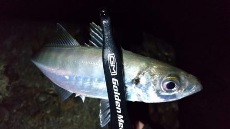 自作ワームでアジング