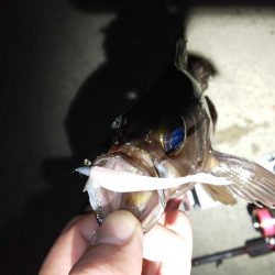 困った時のガルプ頼み