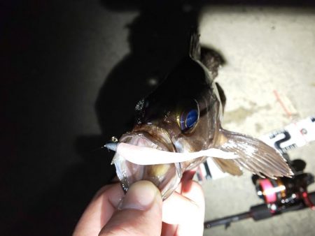 困った時のガルプ頼み