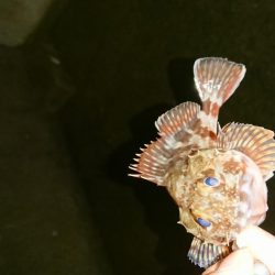 食欲ないのかな？