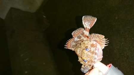 食欲ないのかな？