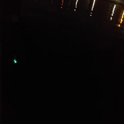 ぶら河川調査!!