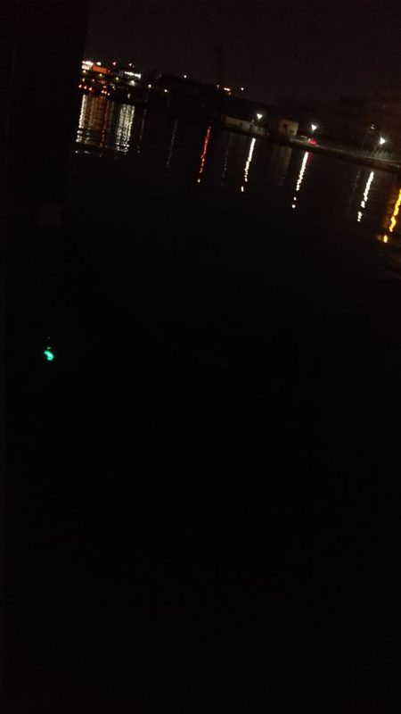 ぶら河川調査!!