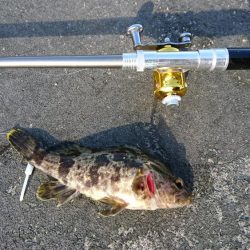穴釣りも活性上がってきた？