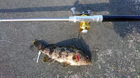 穴釣りも活性上がってきた？
