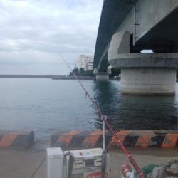 東二見でキス釣り