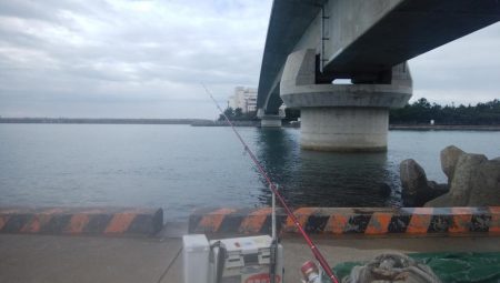 東二見でキス釣り