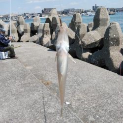 東二見へキス狙い