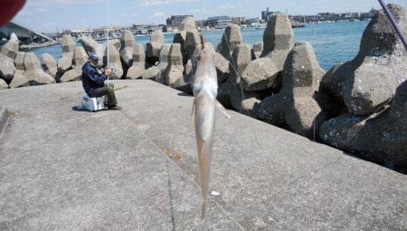 東二見へキス狙い