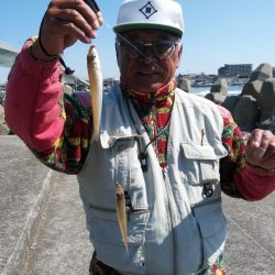 今朝も東二見でキス狙い