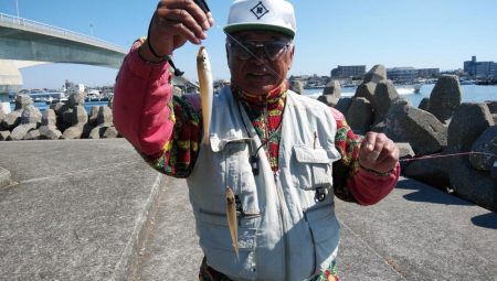 今朝も東二見でキス狙い