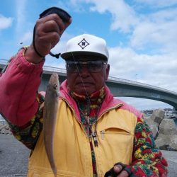 強風の東二見釣行