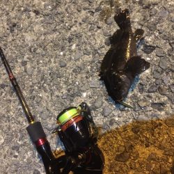 小さくても嬉しい。