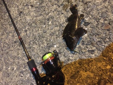 小さくても嬉しい。