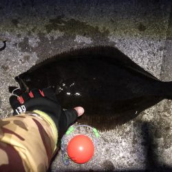 60㎝オーバー2匹