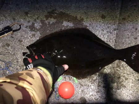 60㎝オーバー2匹