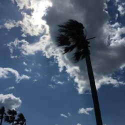 暴風のチヌ釣り