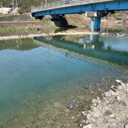 芥川マス釣り場