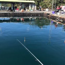 海上釣り堀