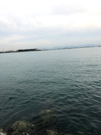 真昼間の陸からでも釣れました。