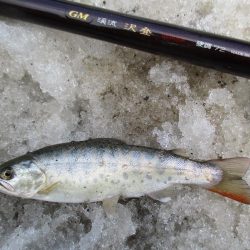 渓流釣り解禁後の初釣行