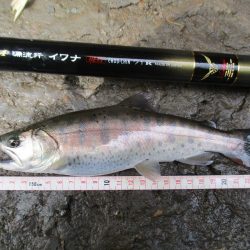 千代川支流の渓谷にて