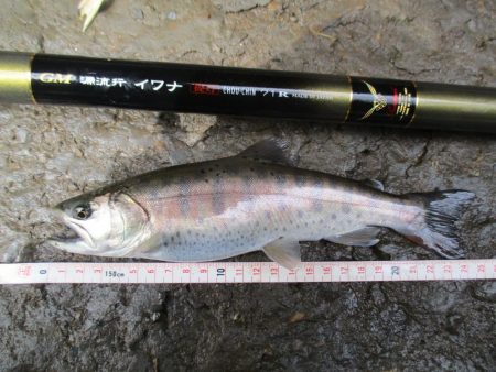 千代川支流の渓谷にて