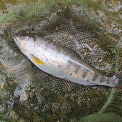 地元の渓谷にて