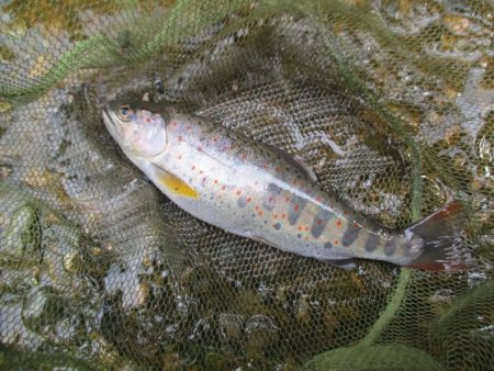 地元の渓谷にて