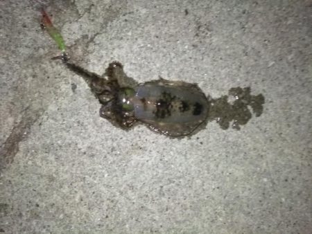 高プレッシャーでの一杯