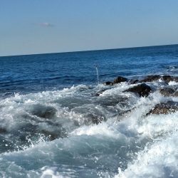 フカセが一番・・面白いです・・チヌ・・