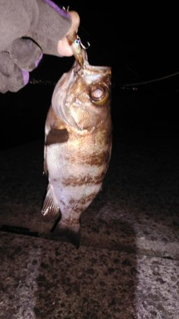 めっちゃ引きます