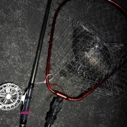 南港へち釣行 （2020/03/20 暴風の南港ヘチ釣り　真チヌ（46cm）