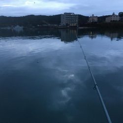 アジ15匹、尺アジ1匹