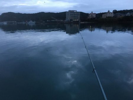 アジ15匹、尺アジ1匹