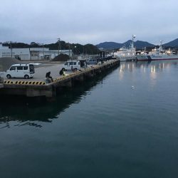 アジ5匹、ガシラ1匹