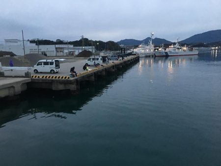 アジ5匹、ガシラ1匹