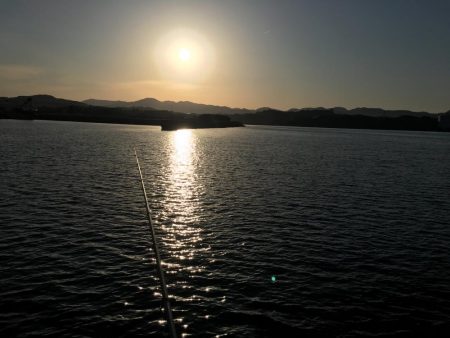 タイ1匹(20㎝)、フグ3匹