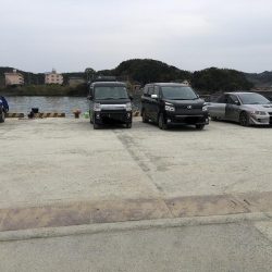 アジ2匹、ヒイラギ多数