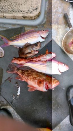 小型和船からのSLJ！鷹島南側日比水道リア…