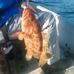 小型和船からのSLJ！鷹島南回り探索