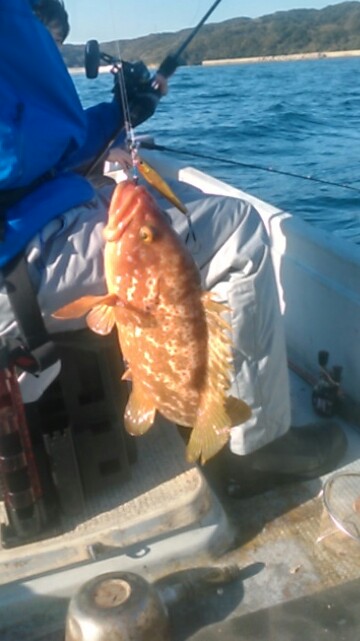 小型和船からのSLJ！鷹島南回り探索