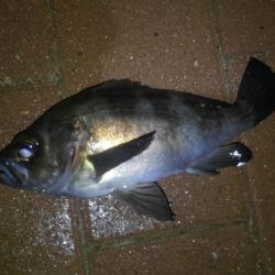 湾奥ロックゲーム!