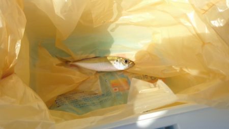 フィッシグパーク新形コロナウイルスによる閉園からの再開!!