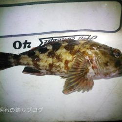 乗っ込みの気配