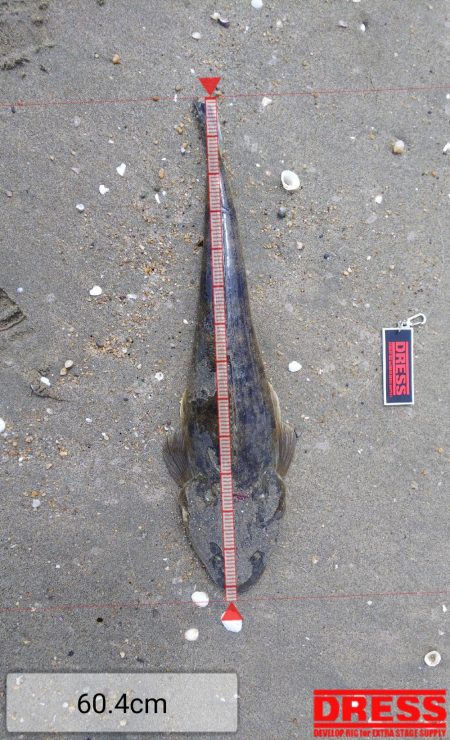 鈴鹿サーフで今年初マゴチゲット