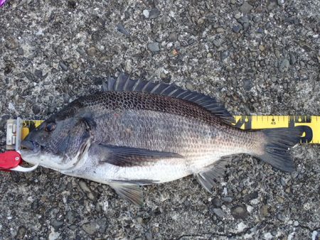 年無しオンリー