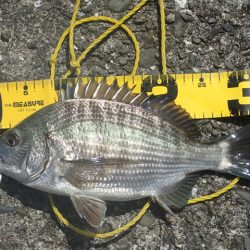 海釣り卒業記念