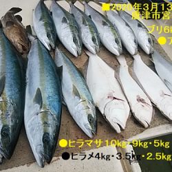 大物釣果速報！●光義丸：平戸市早福港